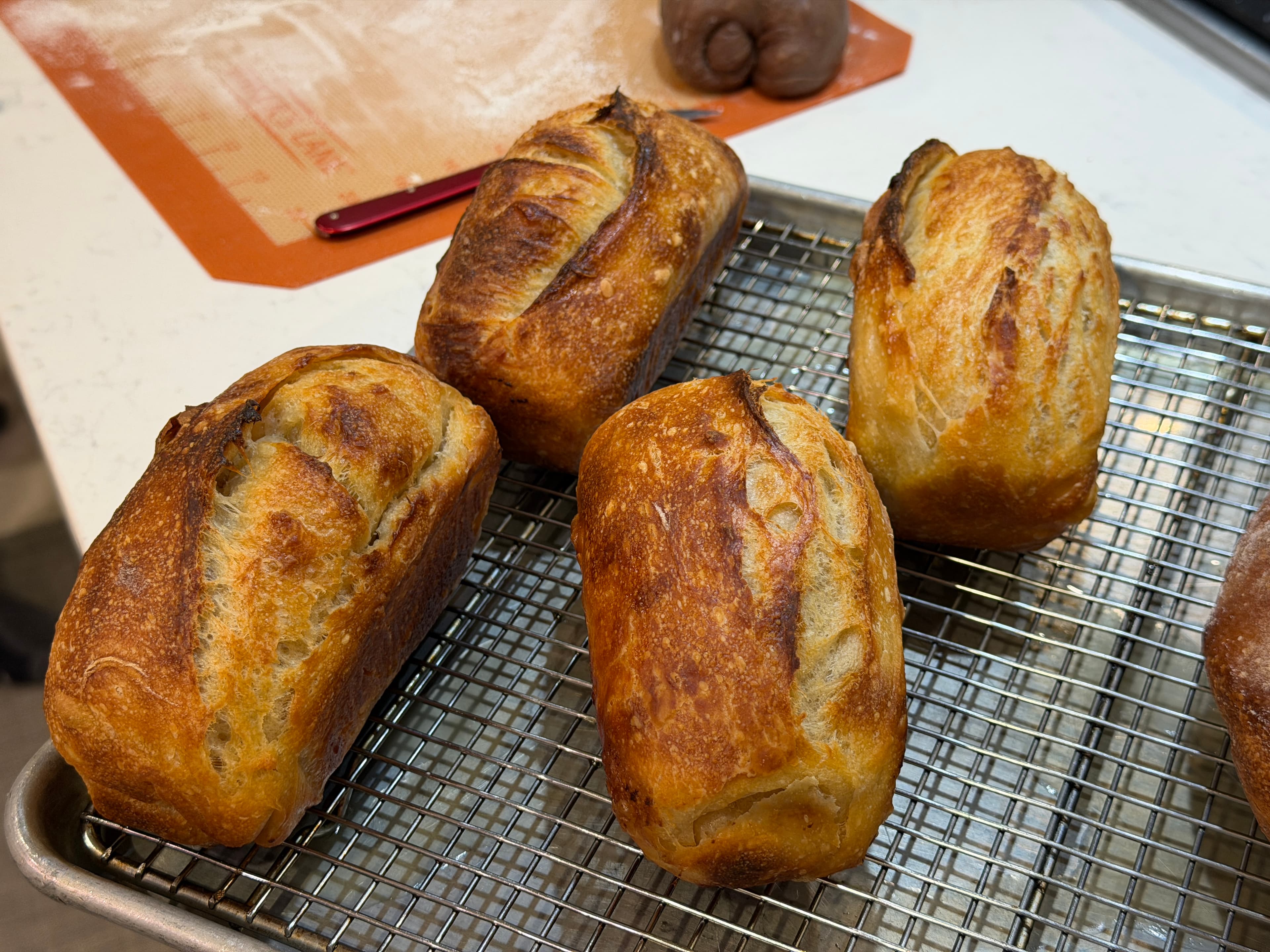 Sourdough loaves resting in soft morning light